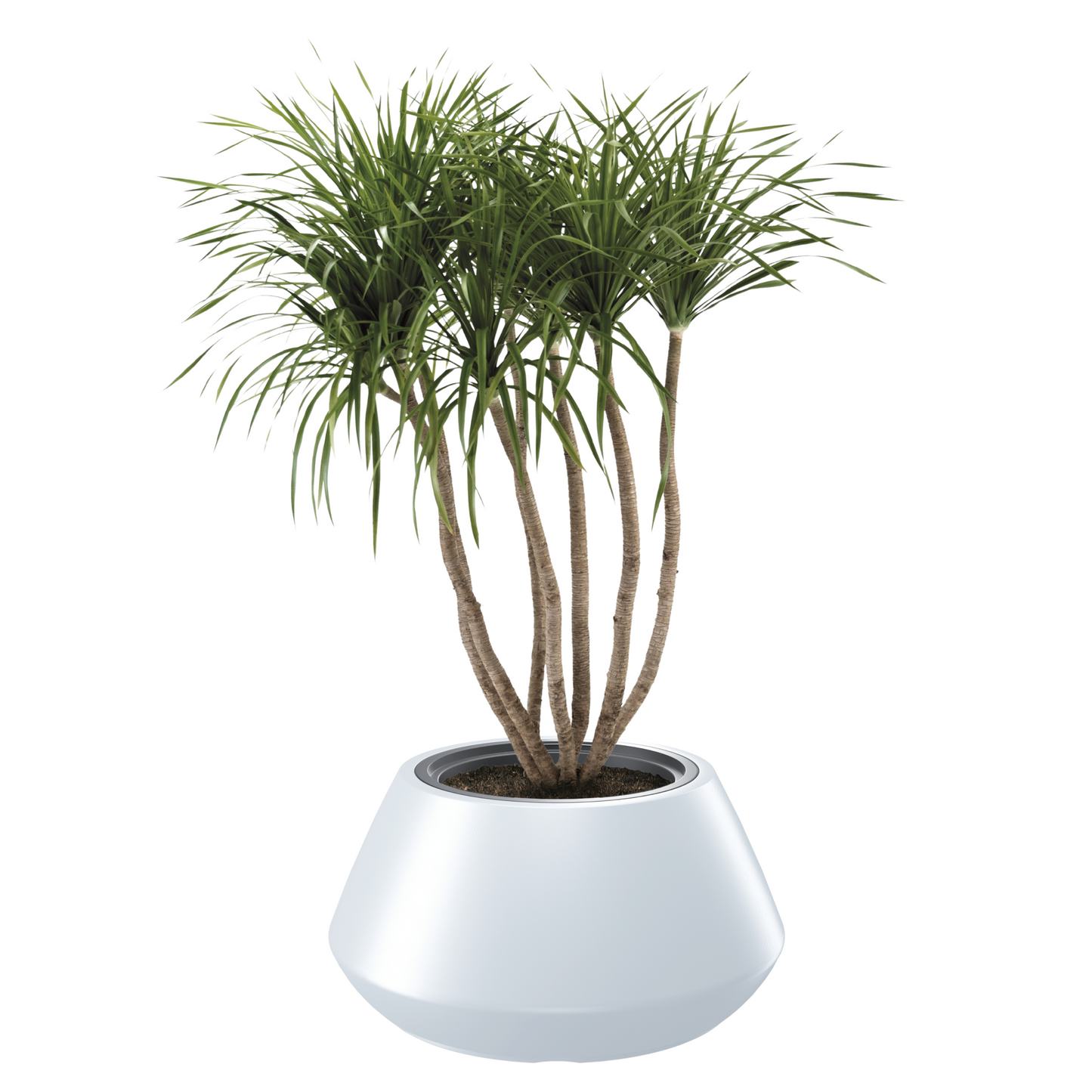 Heos Cone Planter 600
