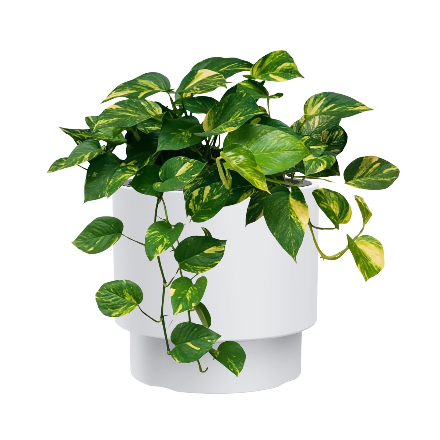 Heos Grace Planter 300