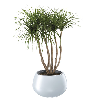 Heos Orbis Planter 440