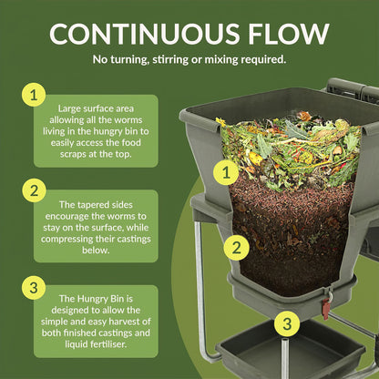 PRE ORDER OCT. - Hungry Bin Worm Farm With 2000 Worms