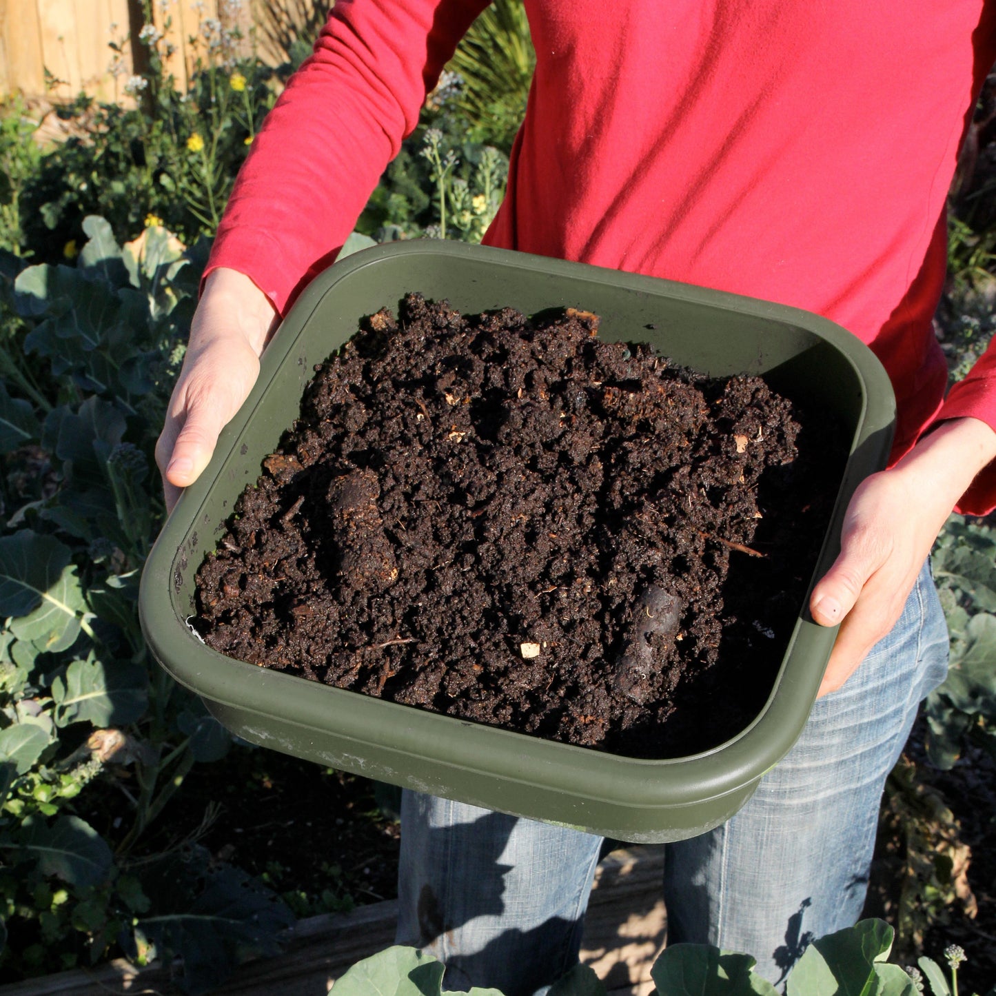 PRE ORDER OCT. - Hungry Bin Worm Farm With 2000 Worms