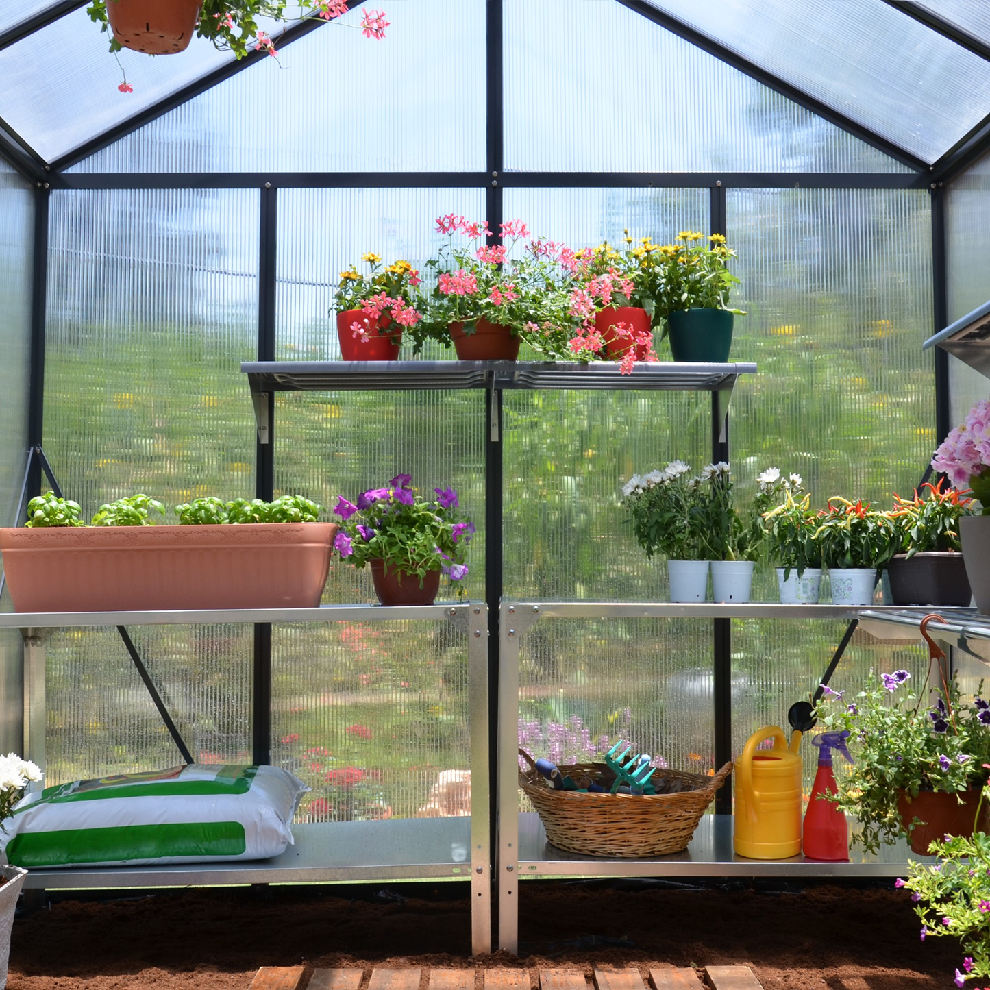 8' x 12' Premium Greenhouse - Grey Frame