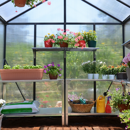 8' x 12' Premium Greenhouse - Grey Frame