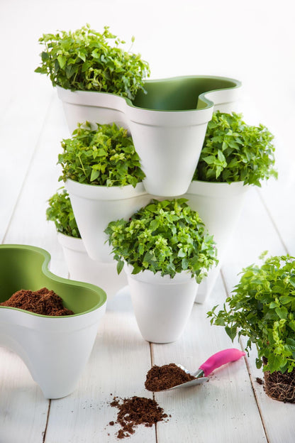 Keter Ivy Planter - White / Green