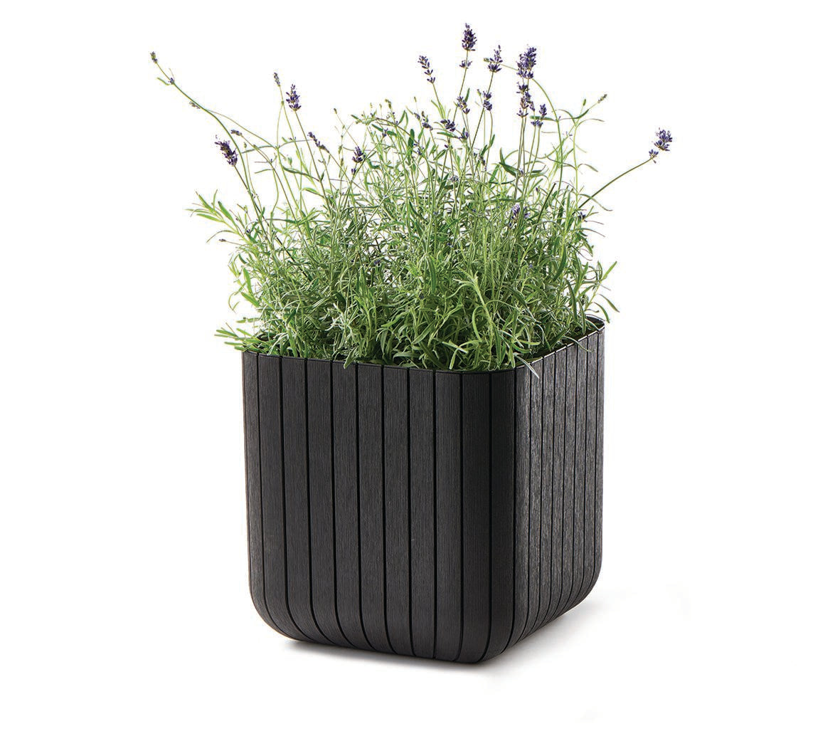 Keter Cube Planter - Brown (Small)