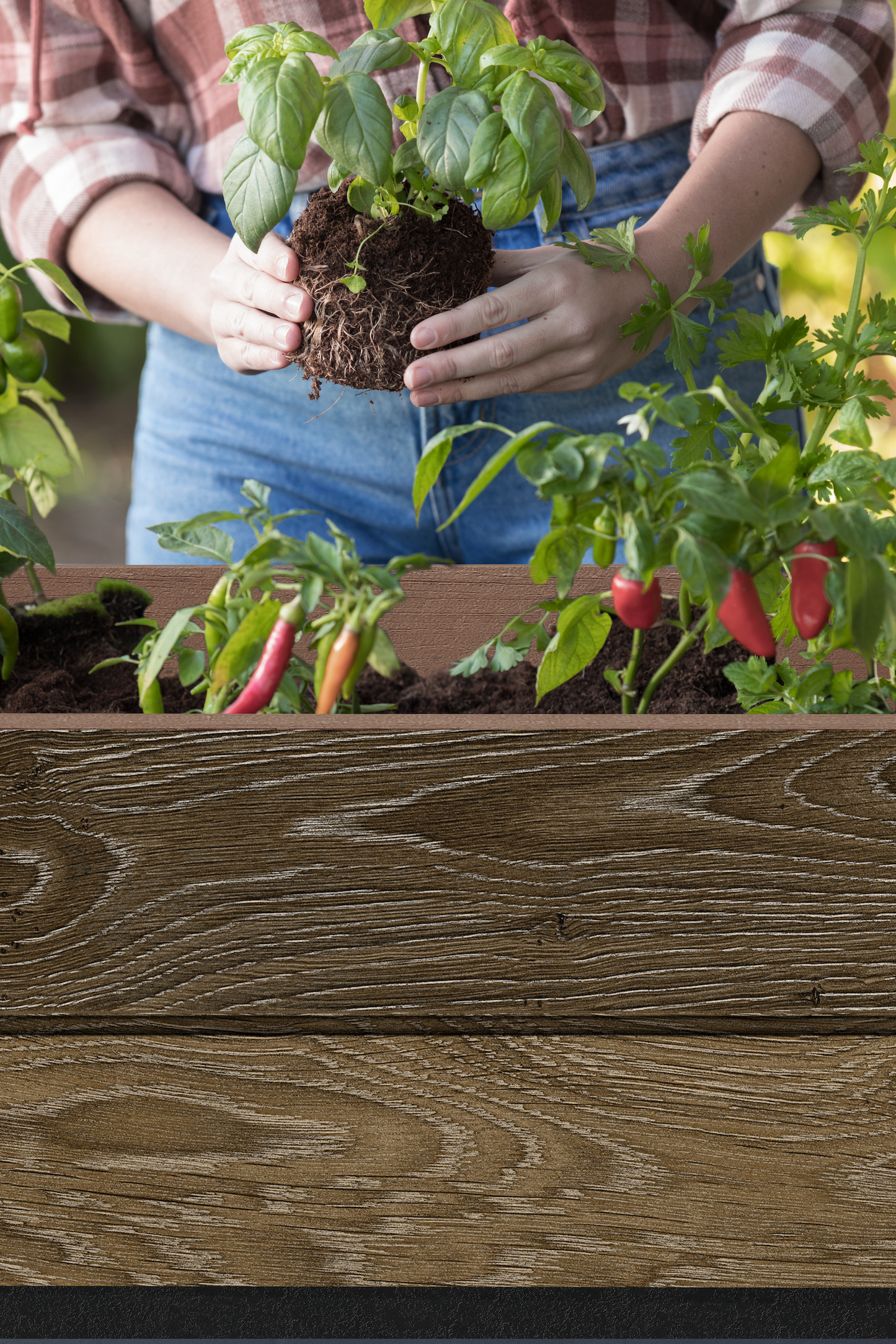 PRE ORDER: NOV. - Keter Signature Elevated Garden Bed - Walnut Look