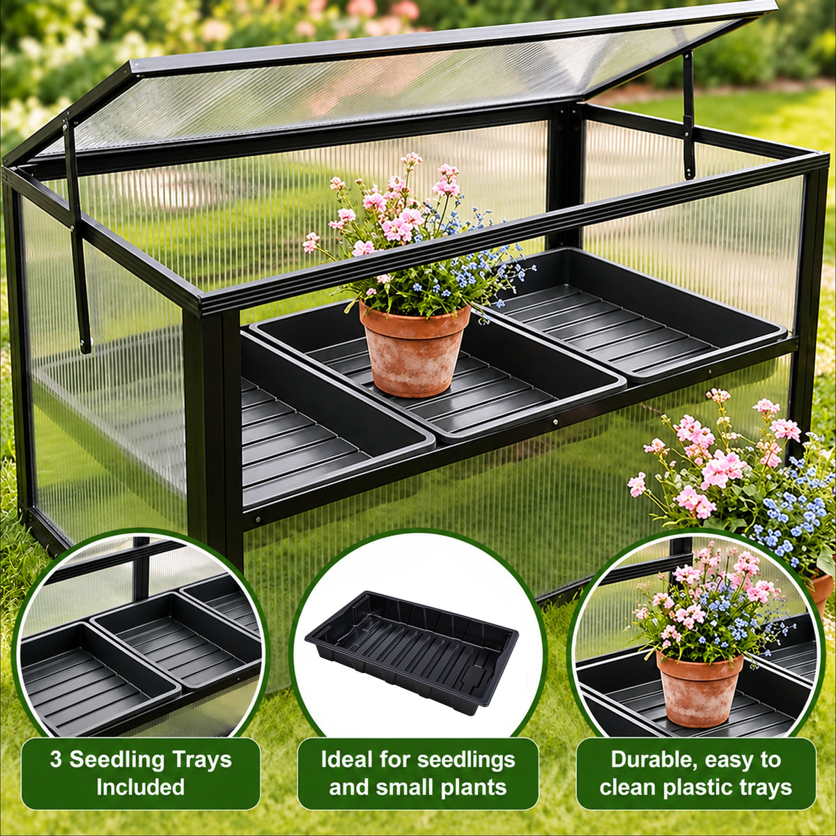 LS Cold Frame with Seedling Trays