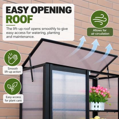 LS Mini Greenhouse with Shelves