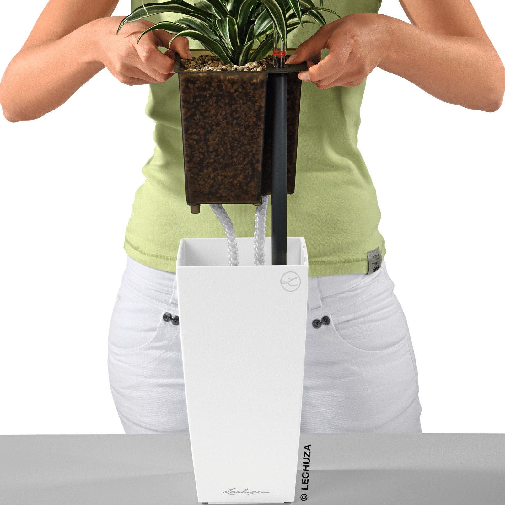 lechuza maxi cubi self-watering planter MAXI CUBI – mazeproducts