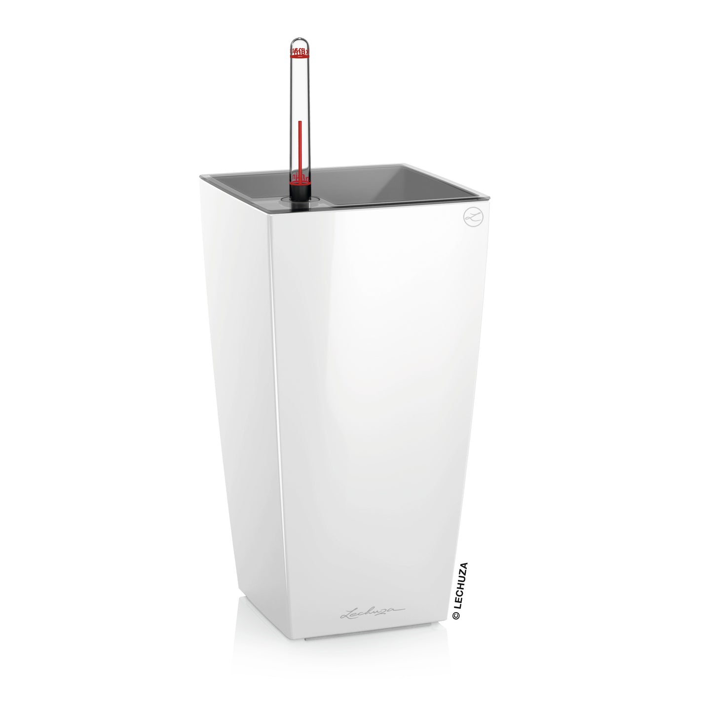 MAXI CUBI