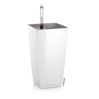MAXI CUBI