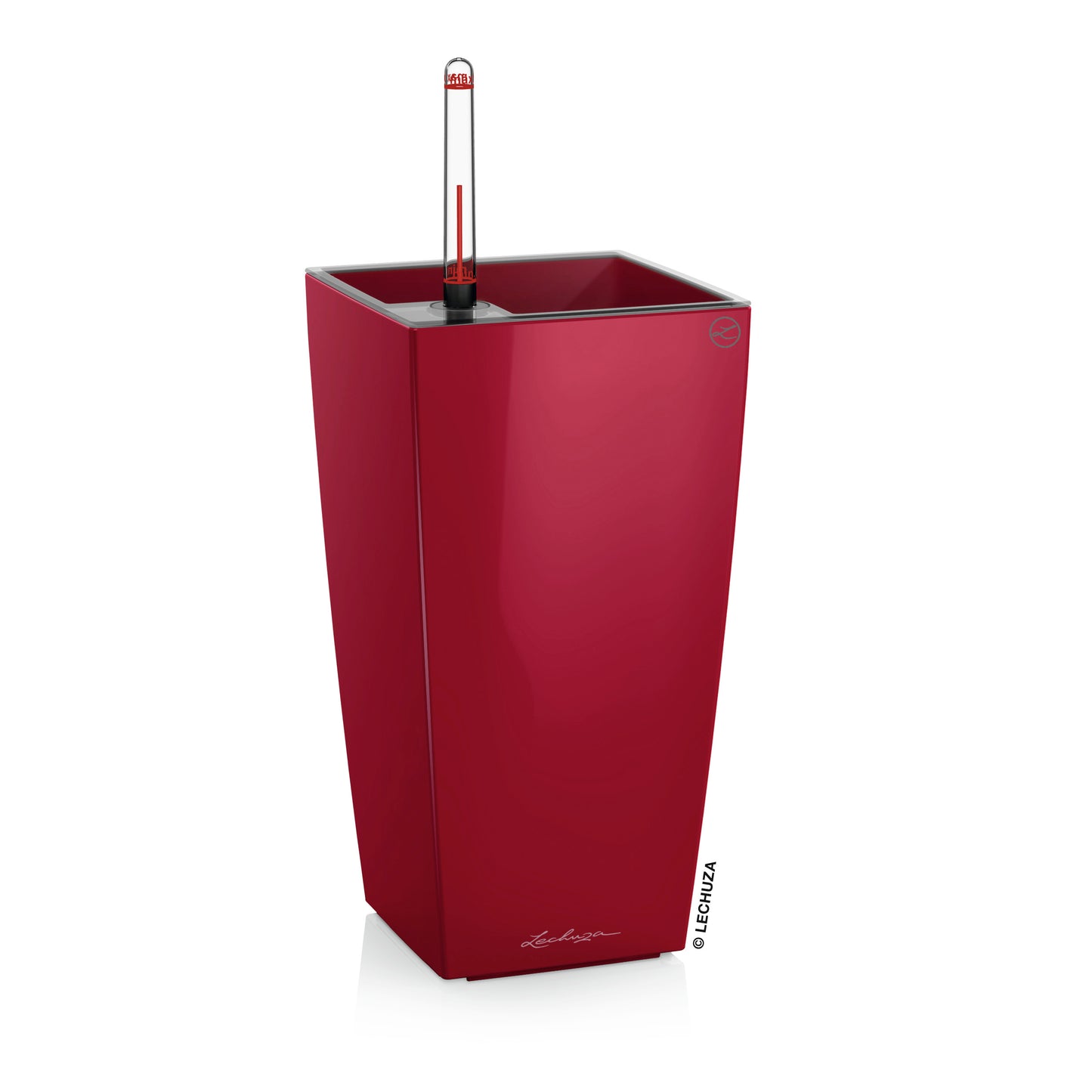 MAXI CUBI