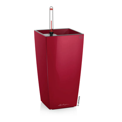 MAXI CUBI