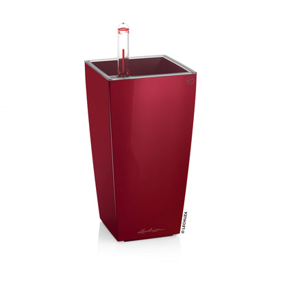 MINI CUBI