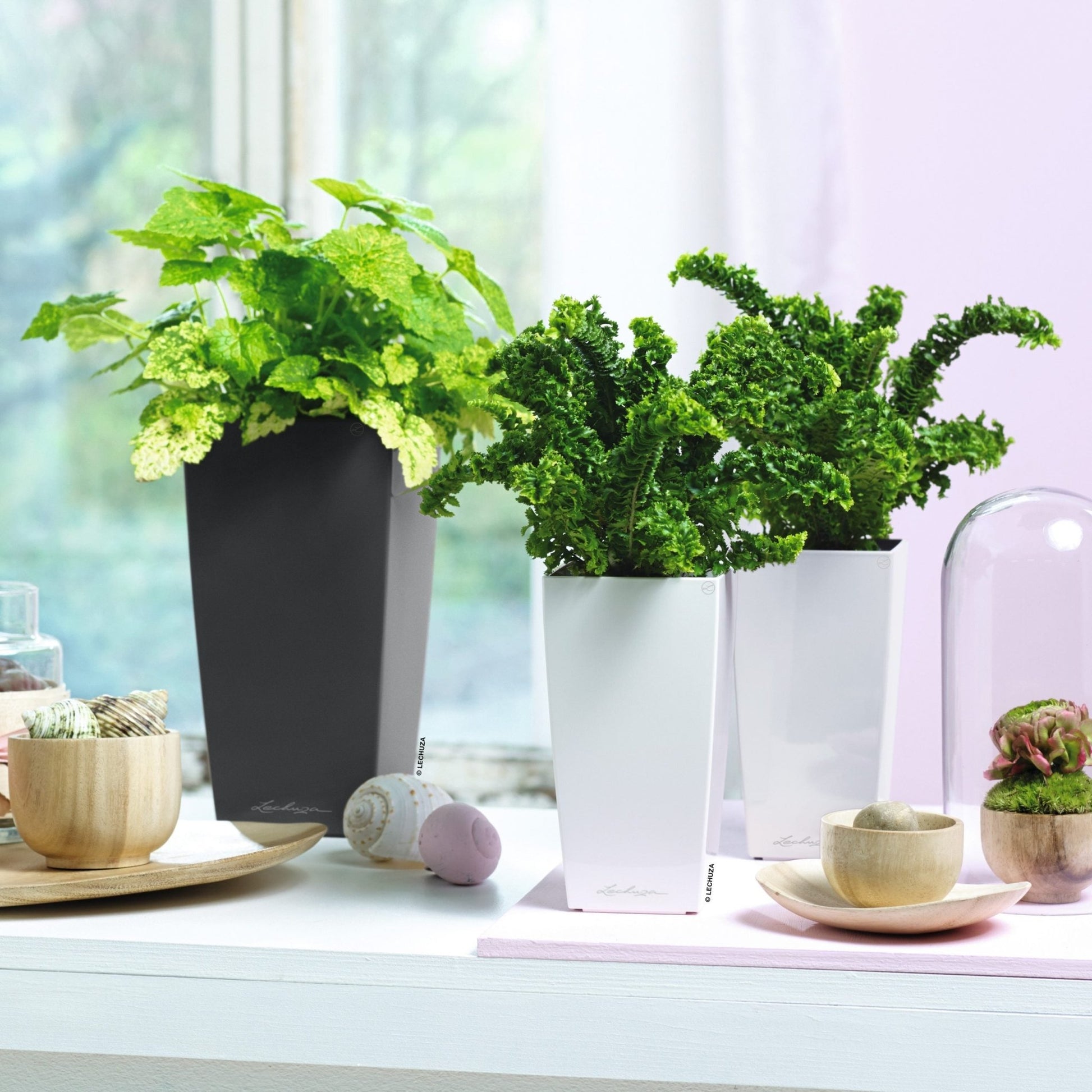 lechuza maxi cubi self-watering planter MAXI CUBI – mazeproducts