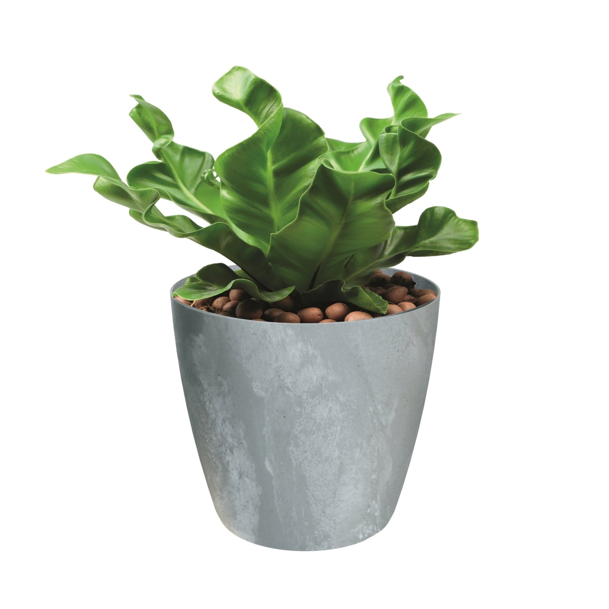 Mate Beton Effect Planter - mazeproducts