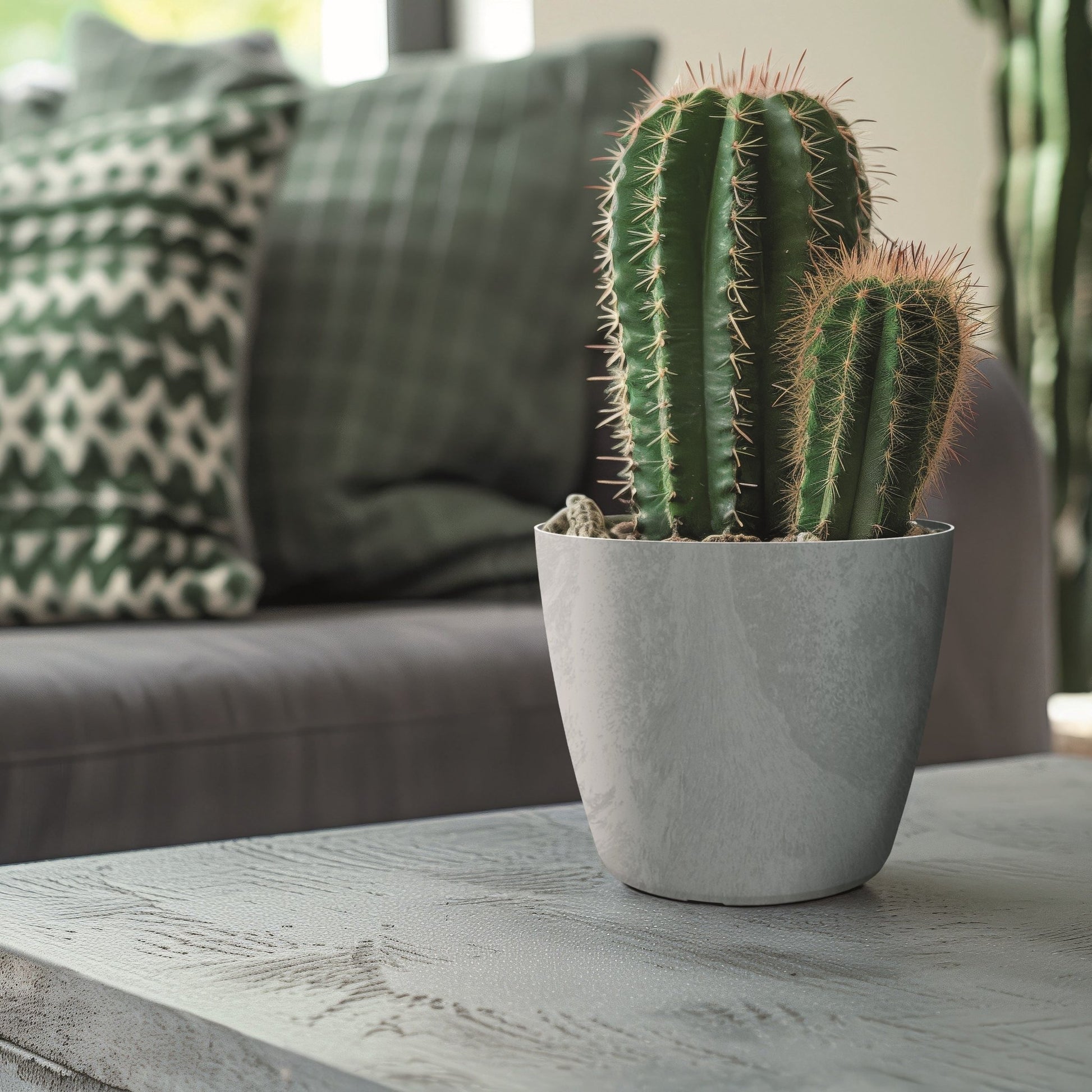 Mate Beton Effect Planter - mazeproducts