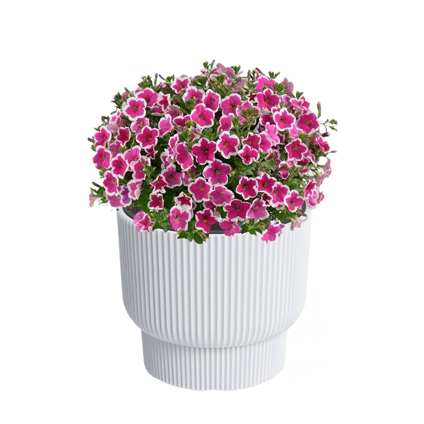 Milly Elegance Planter 300