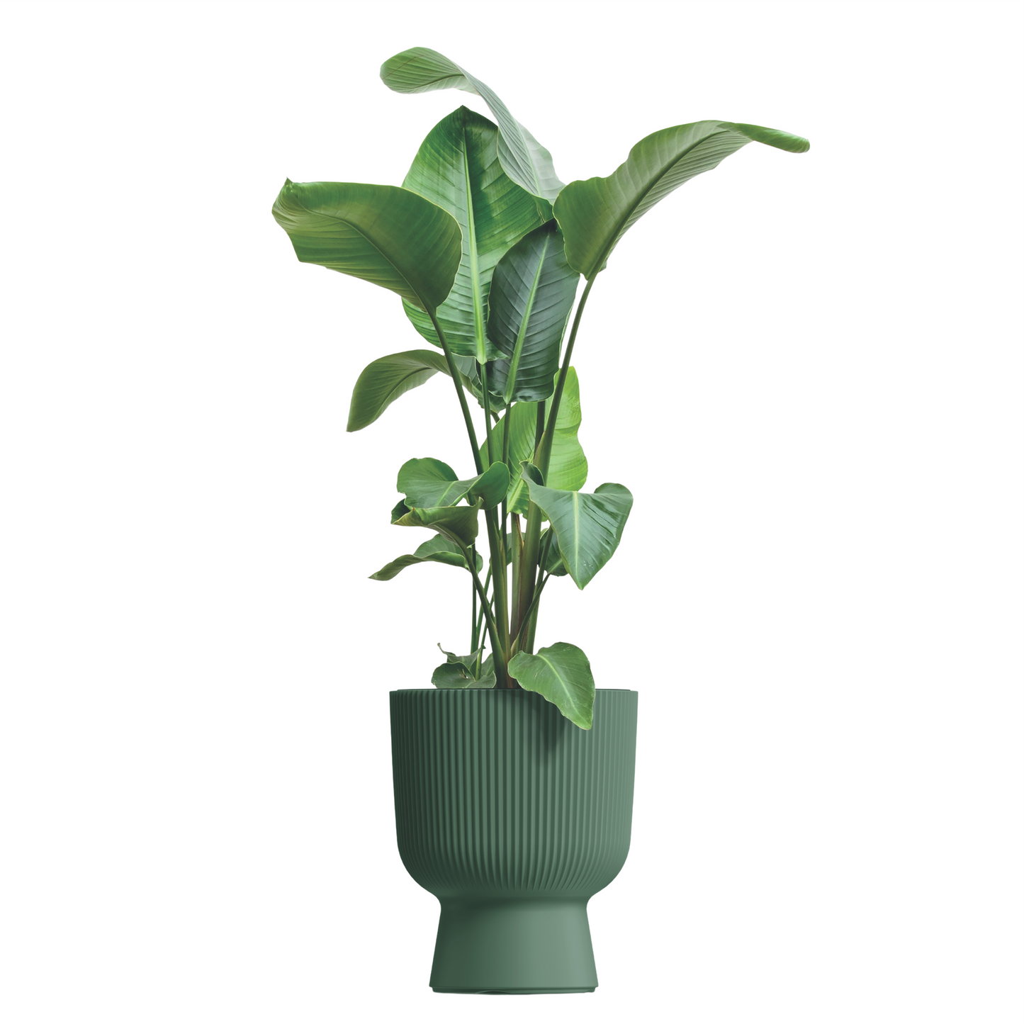 Milly Lux Planter 300