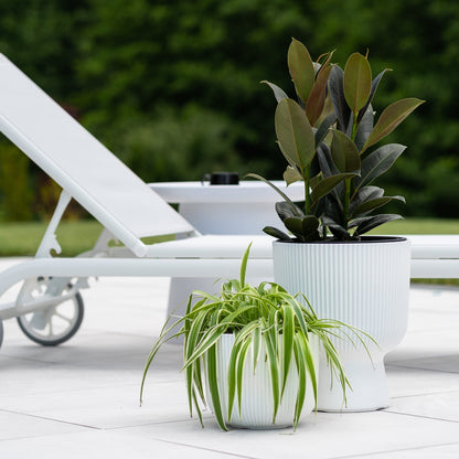 Milly Lux Planter 300