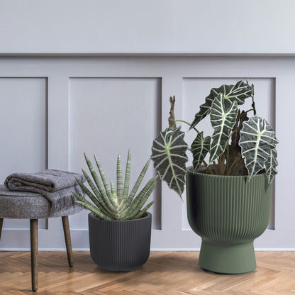Milly Lux Planter 300