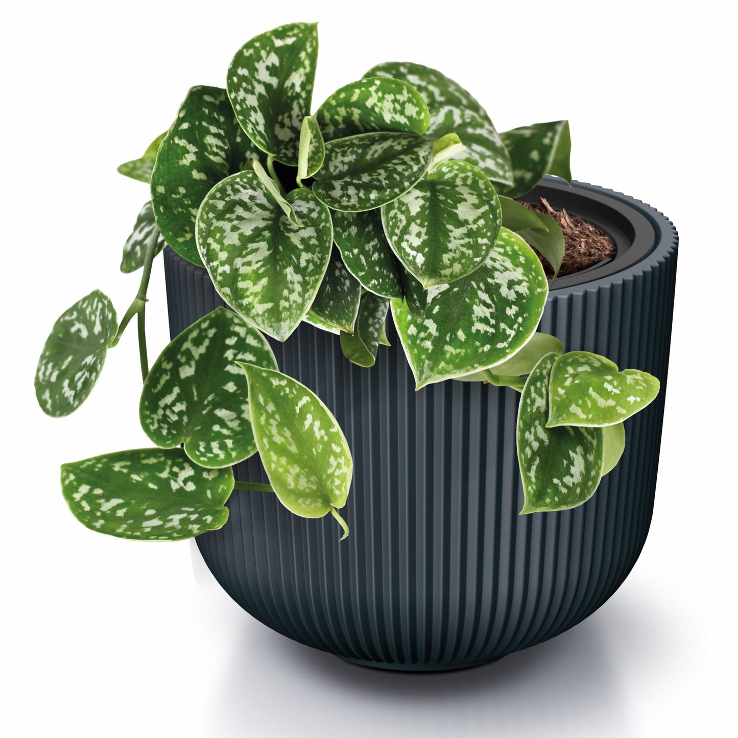 Milly Style Planter 470