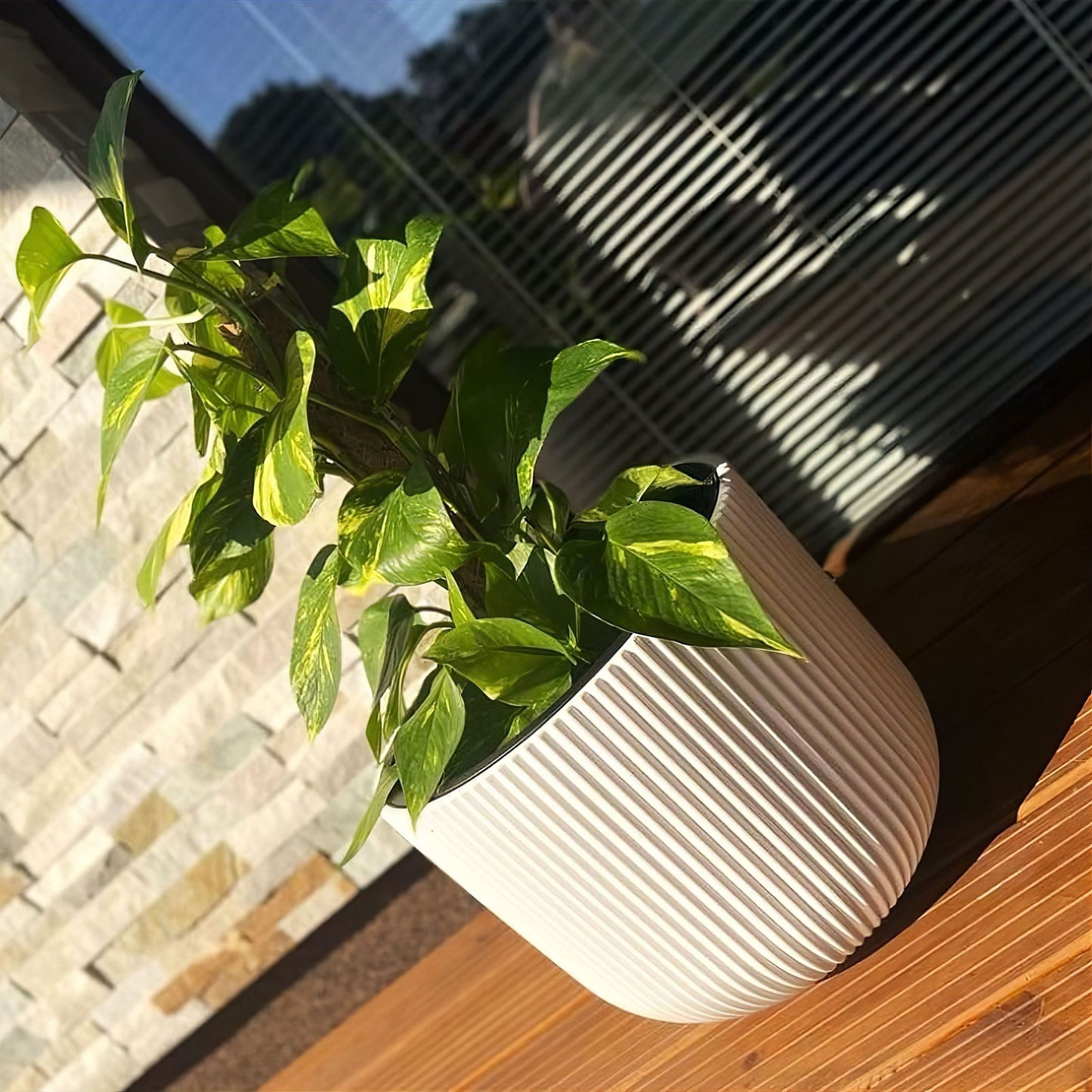 Milly Style Planter 470