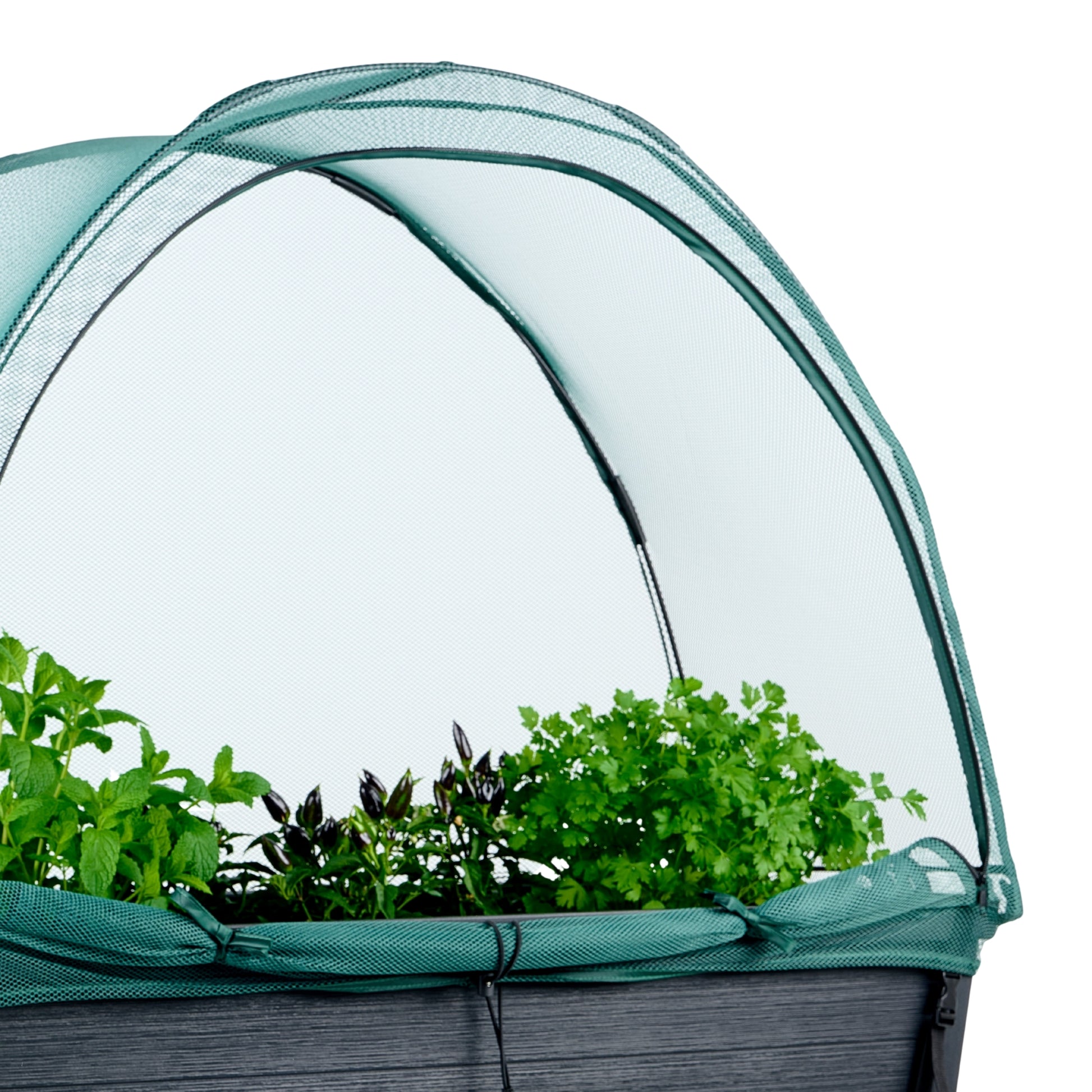 PRE ORDER: DEC. - Net Cover for Raised Garden Bed - mazeproducts