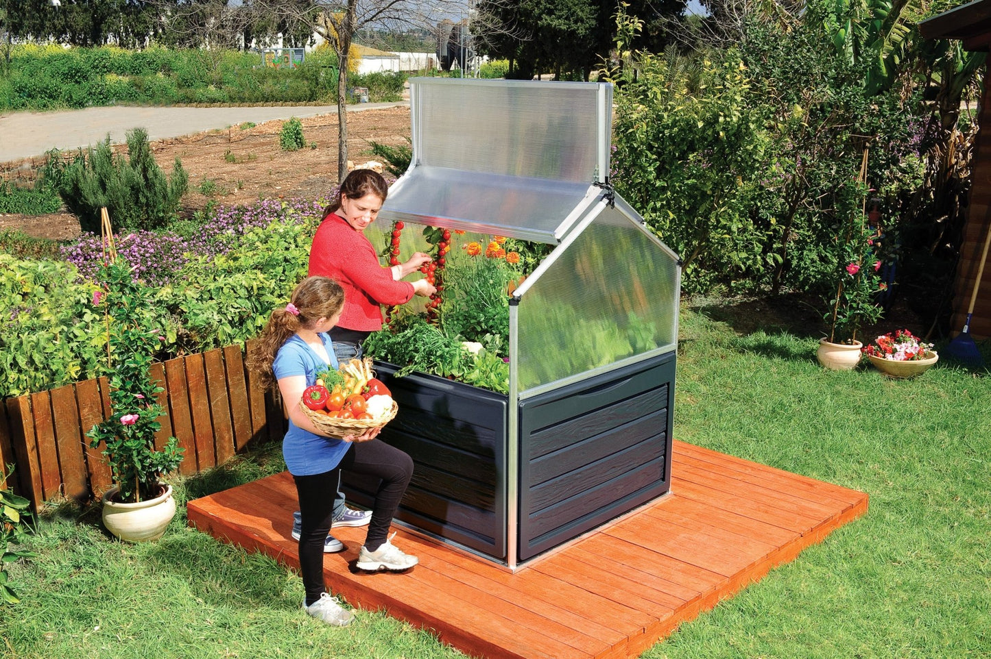 Plant Inn – Mini Greenhouse - mazeproducts