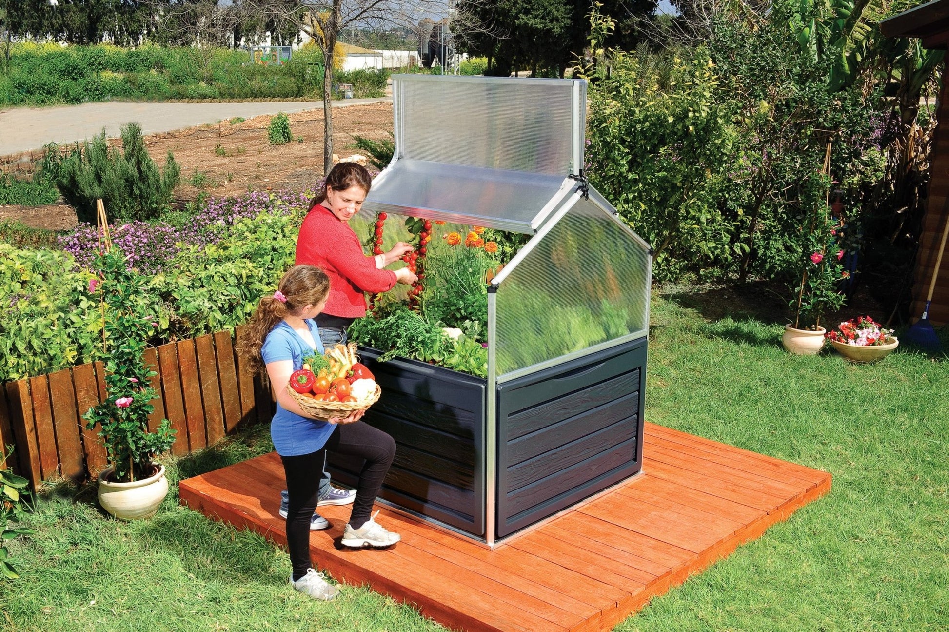Plant Inn – Mini Greenhouse - mazeproducts