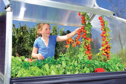 Plant Inn – Mini Greenhouse - mazeproducts