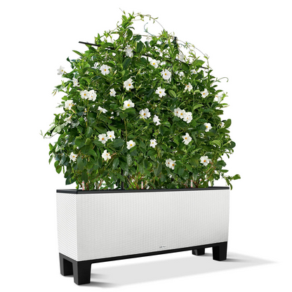 Pedestal for TRIO 40