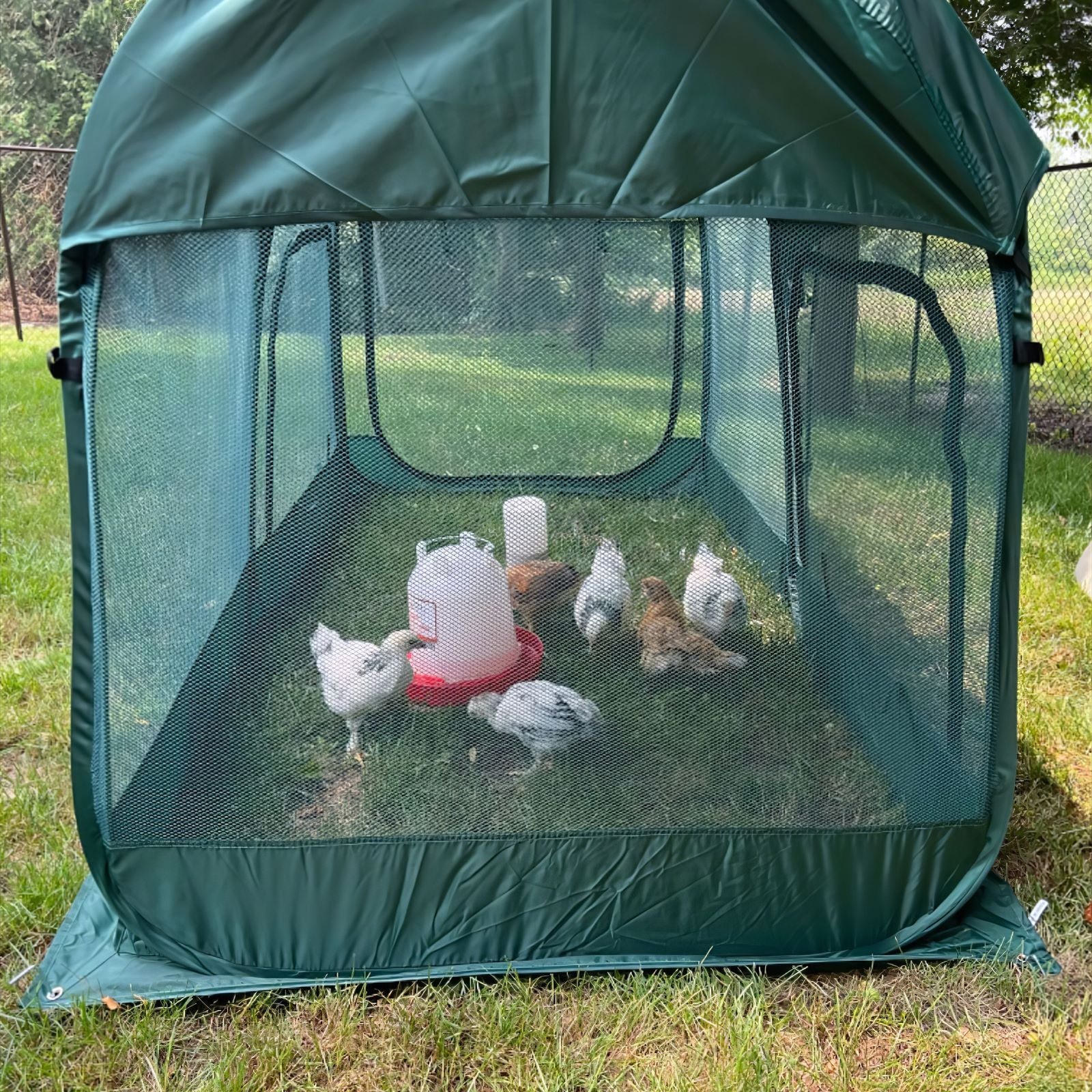 Portable Chicken Run From Pvc Metal Chicken Coop 6.56x6.56x6.56ft