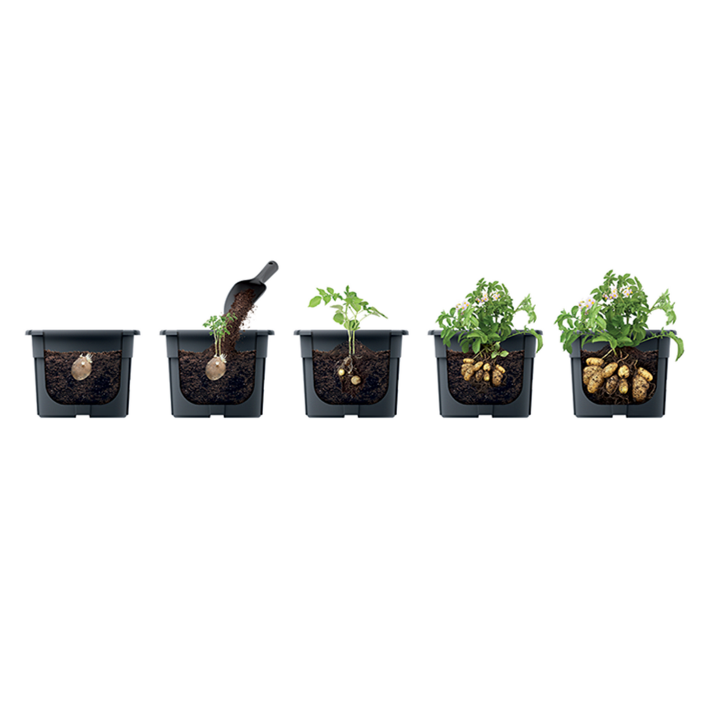 Potato Grower Planter 300