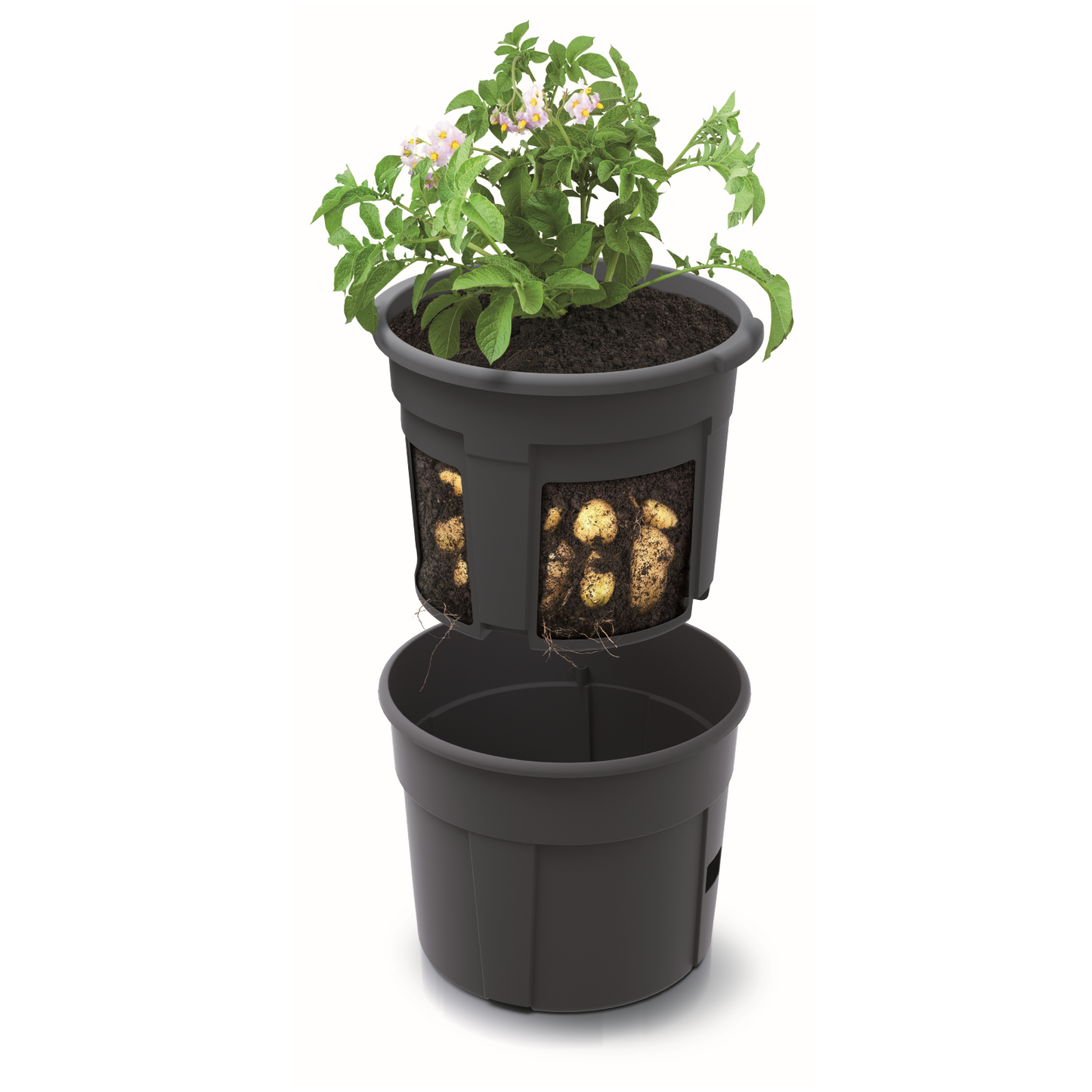 Potato Grower Planter 300