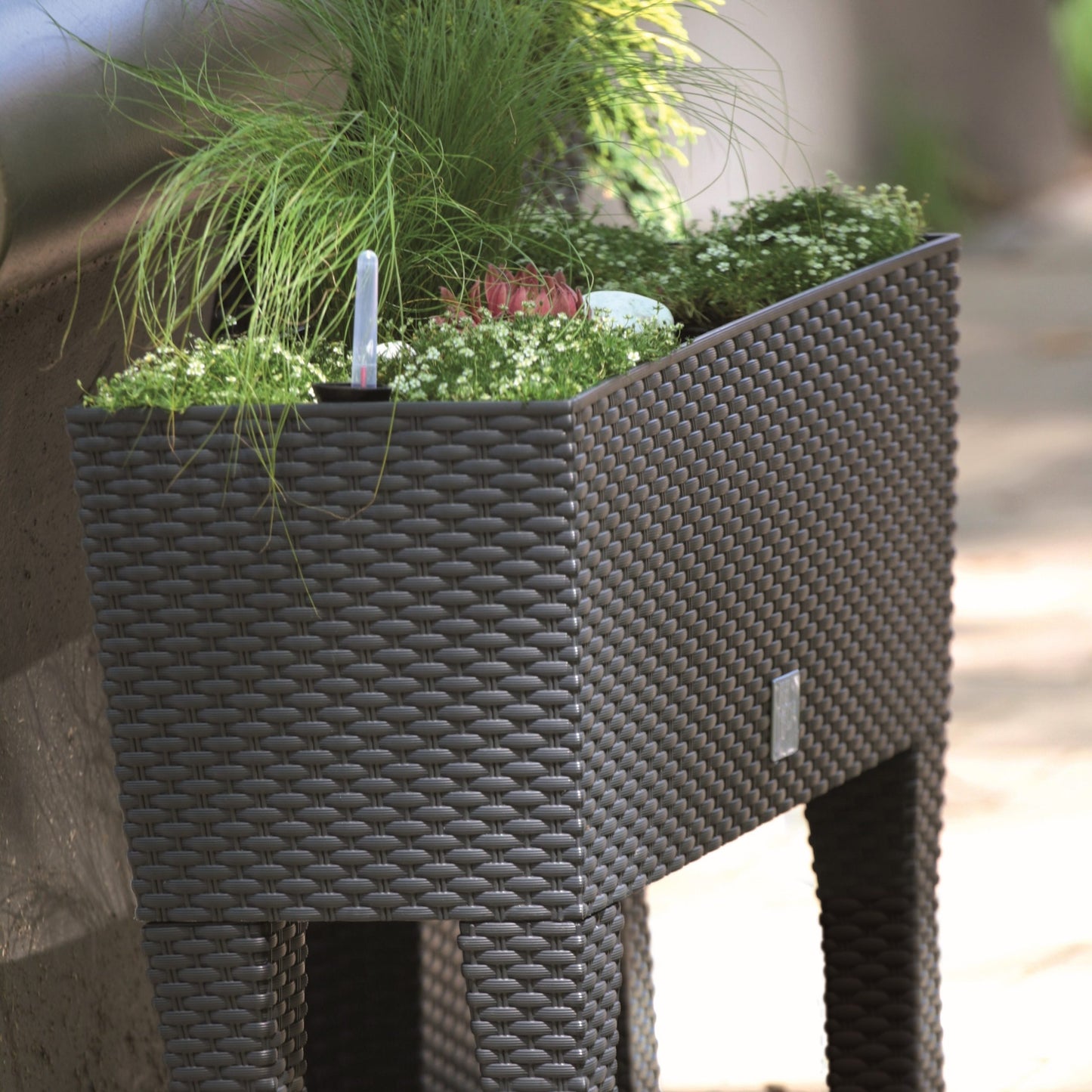 Rato Raised Planter 600