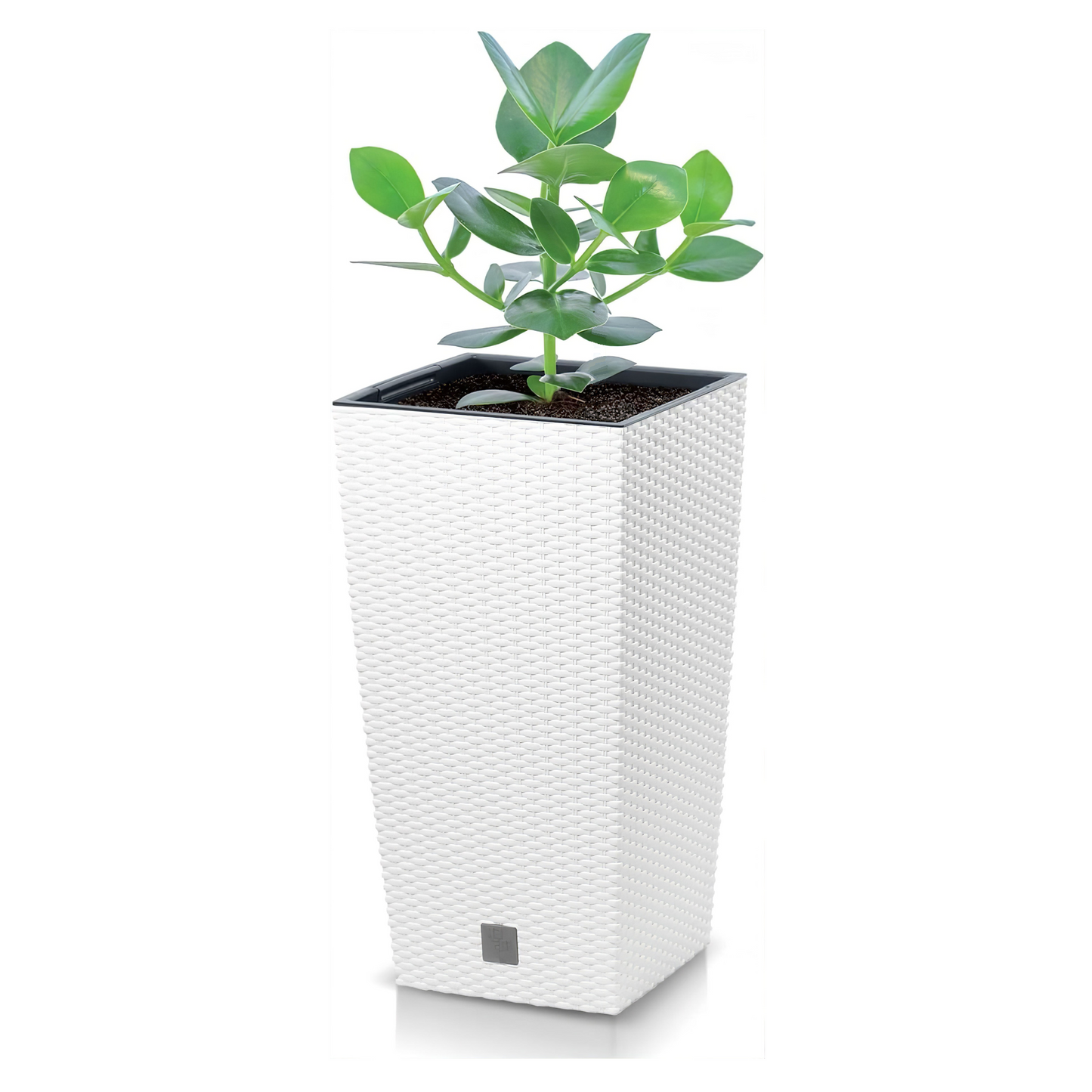 Rato Tall Planter 170