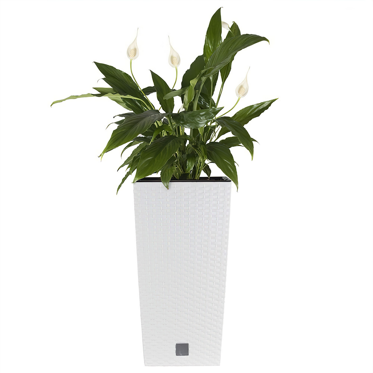Rato Tall Planter 325