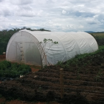 6 x 15m Tunnel Greenhouse with Side Curtains & Ventilation Roof - STK COMPACT