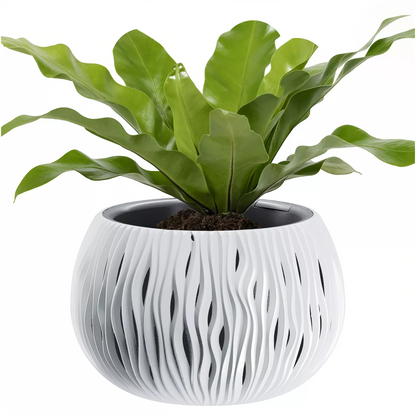 Sandy Bowl Planter 240