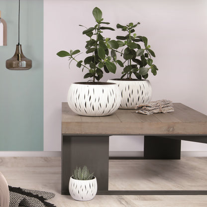 Sandy Bowl Planter 370