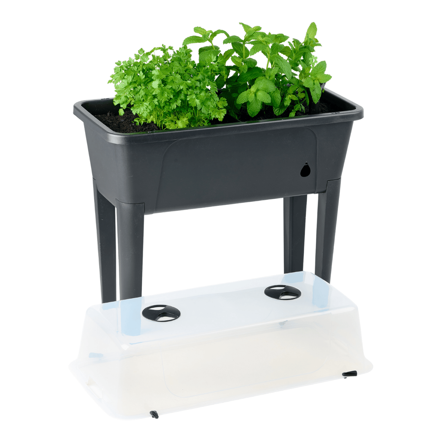 PRE ORDER: DEC. - Self Watering Raised Garden Bed with Cover - Twin Pack - mazeproducts