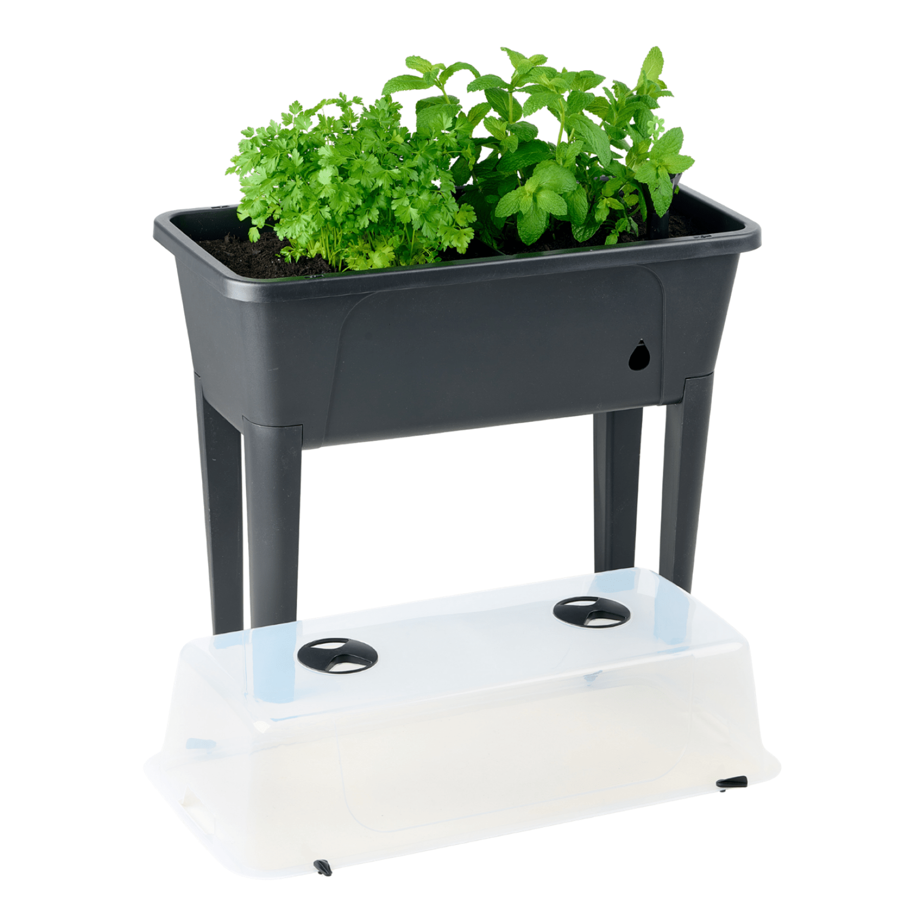 PRE ORDER: DEC. - Self Watering Raised Garden Bed with Cover - Twin Pack - mazeproducts