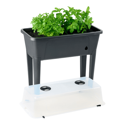 PRE ORDER: DEC. - Self Watering Raised Garden Bed with Cover - Twin Pack - mazeproducts