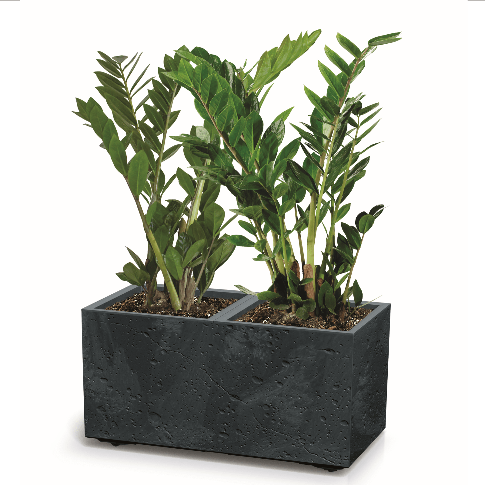 Sierra Case Planter 800 - mazeproducts