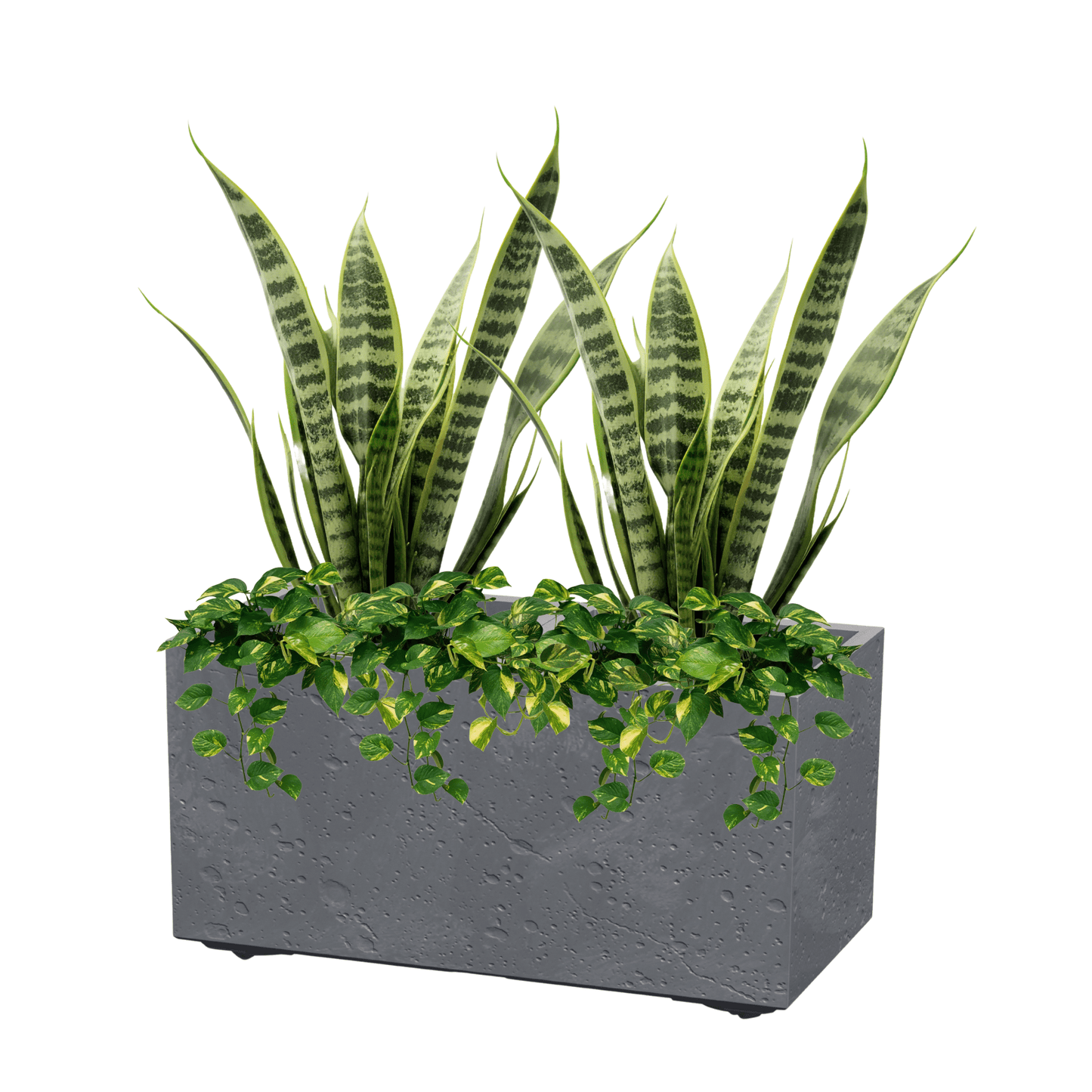 Sierra Case Planter 800 - mazeproducts