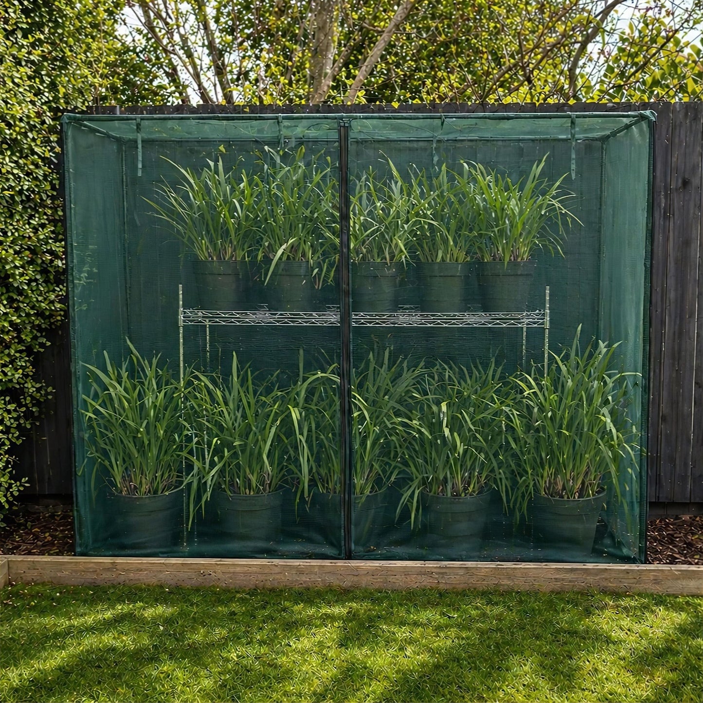NET Crop Protection Cage - Slim - mazeproducts