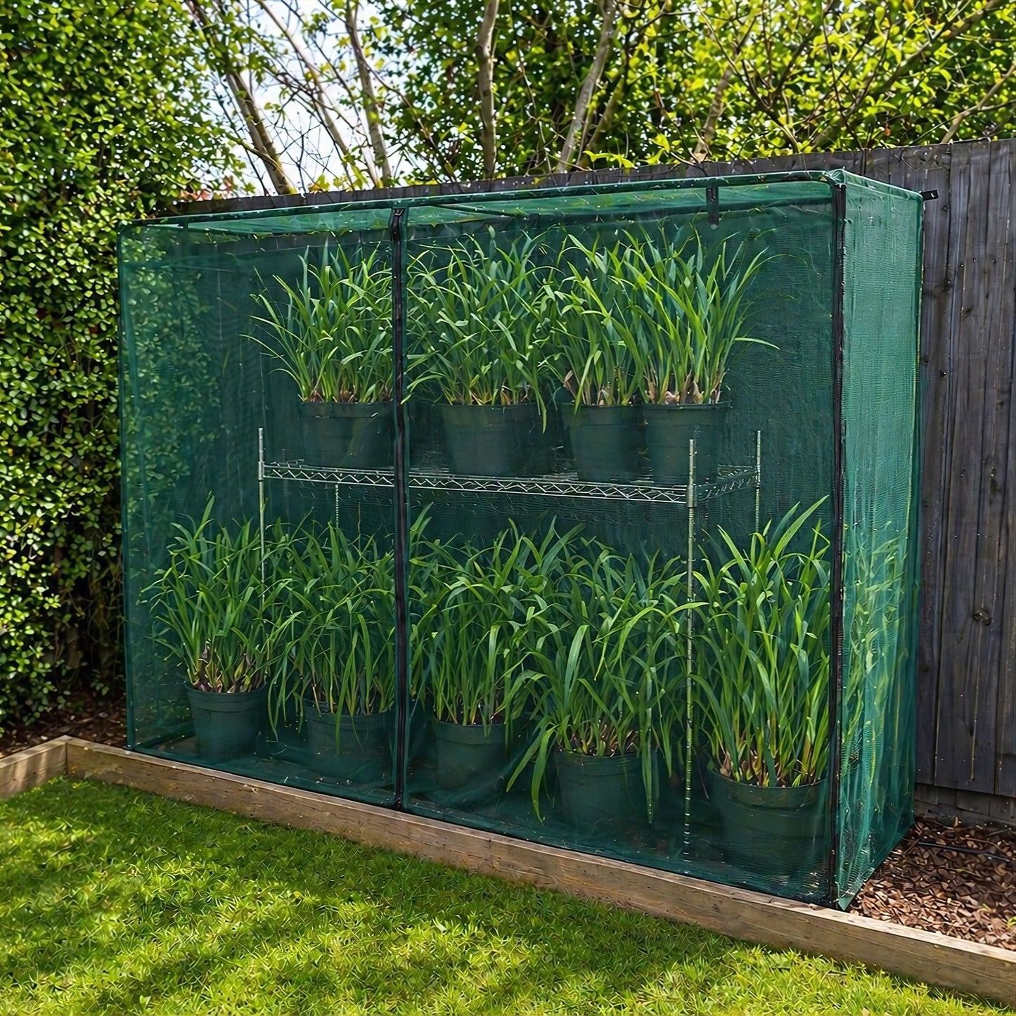 NET Crop Protection Cage - Slim - mazeproducts