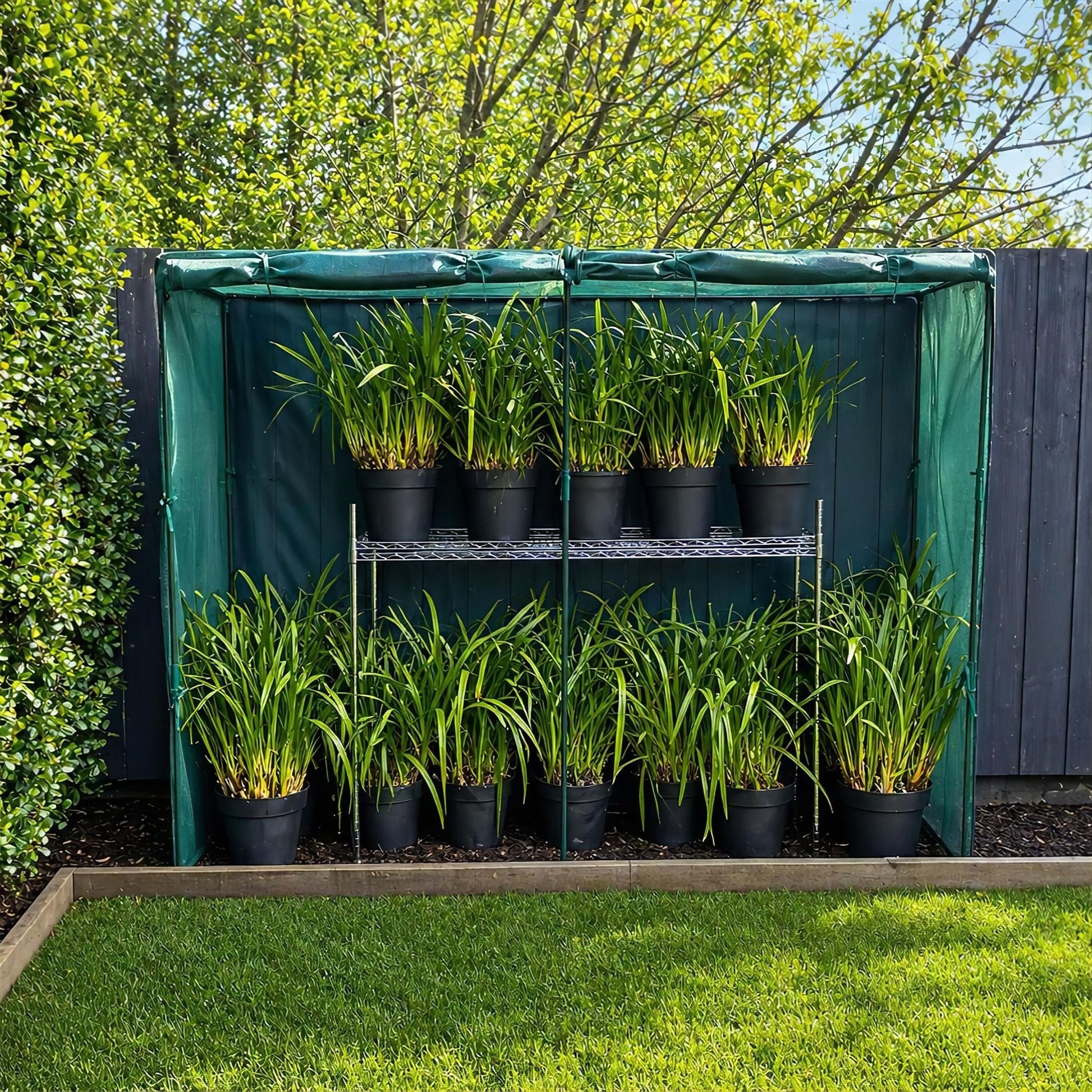 NET Crop Protection Cage - Slim - mazeproducts