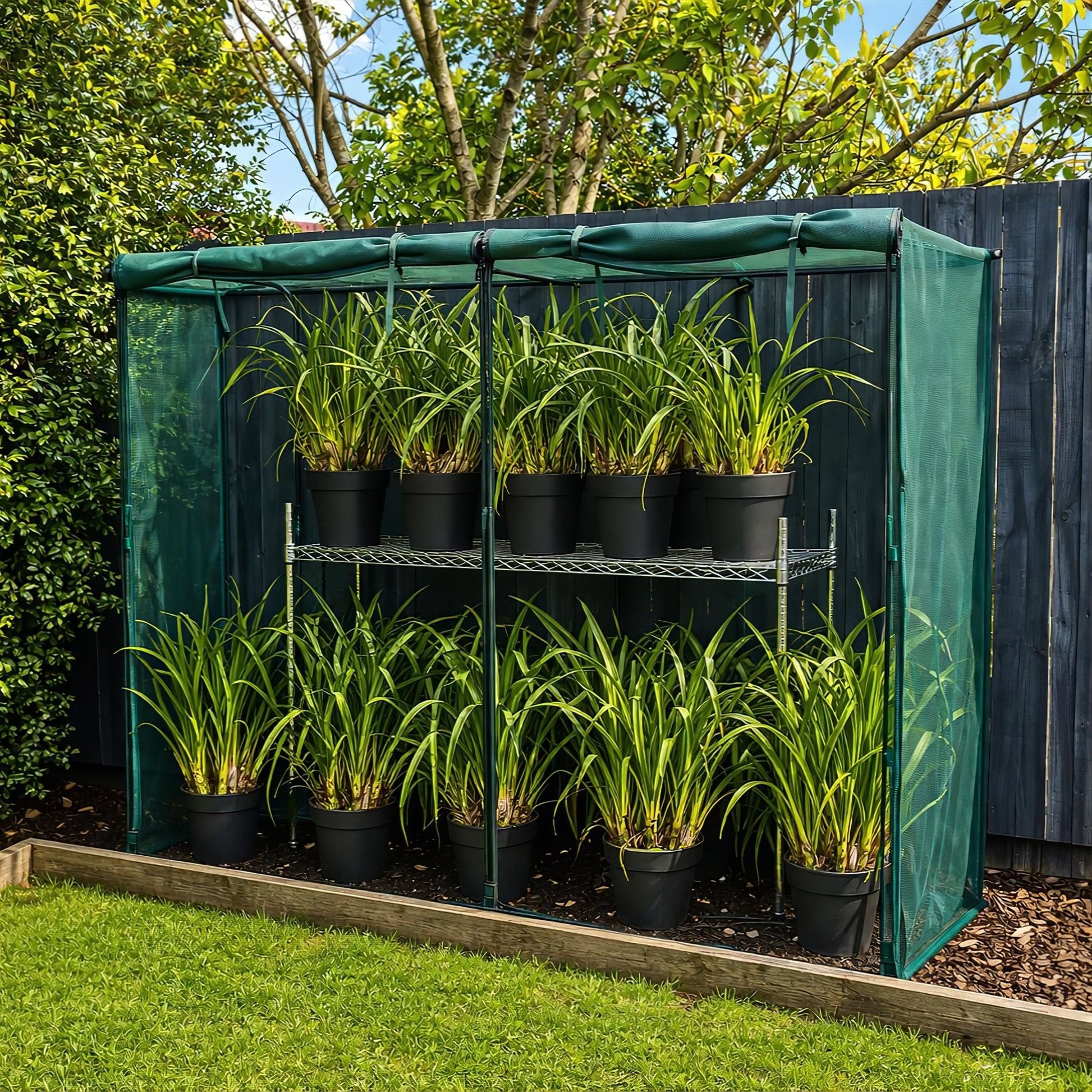 NET Crop Protection Cage - Slim - mazeproducts